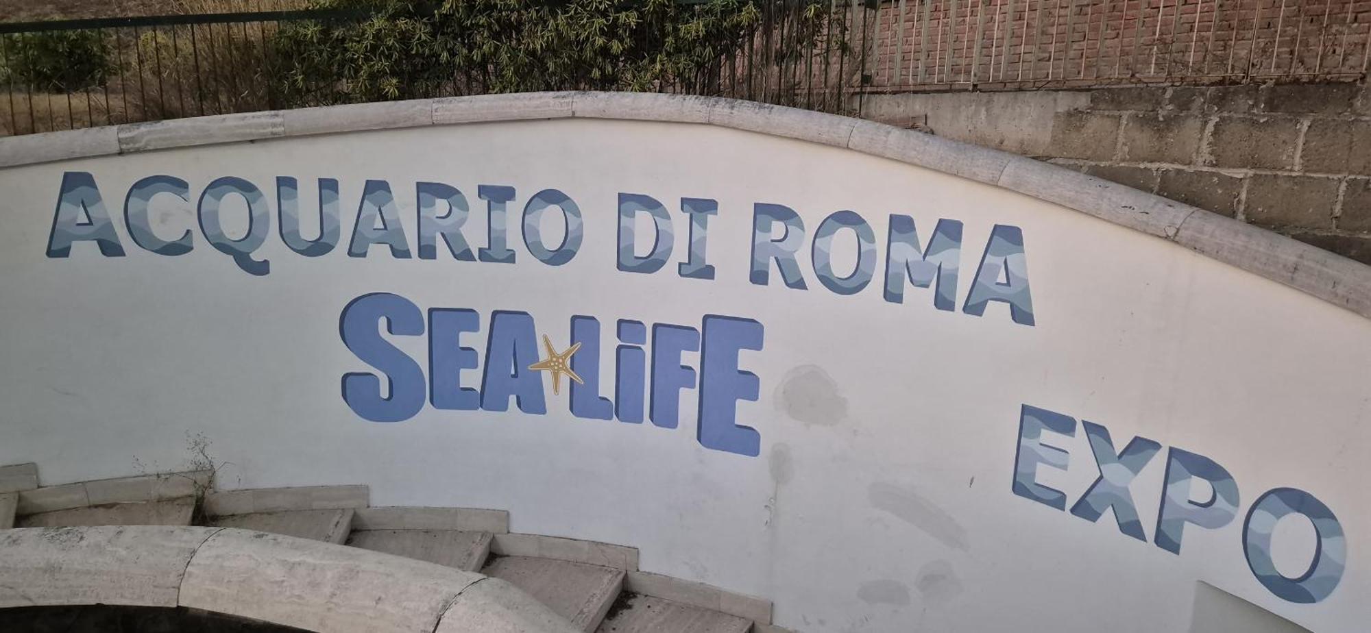 Eur Fenix Apartment Free Parking Family Rome Exterior photo